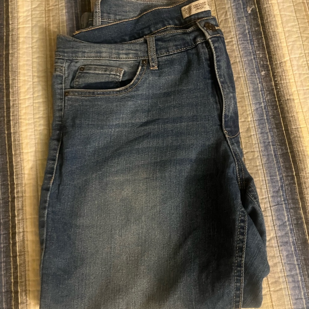 Earl Jeans Blue Straight Leg Denim with Fading